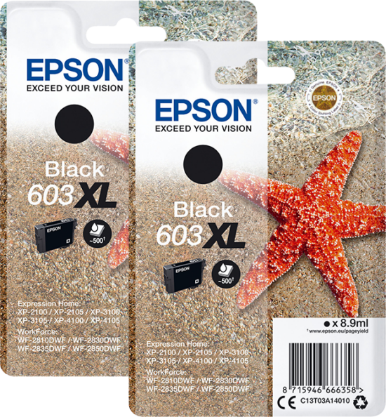 Epson 603XL Cartridges Zwart Duo Pack