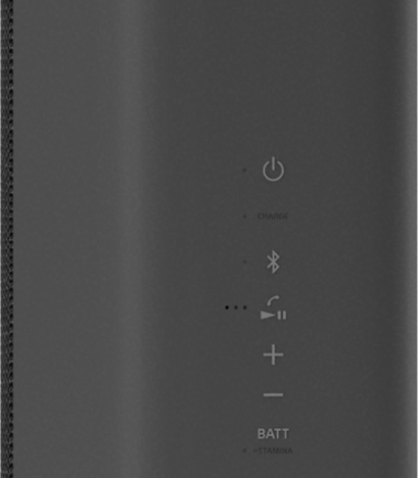 Sony SRS-XE300 Zwart