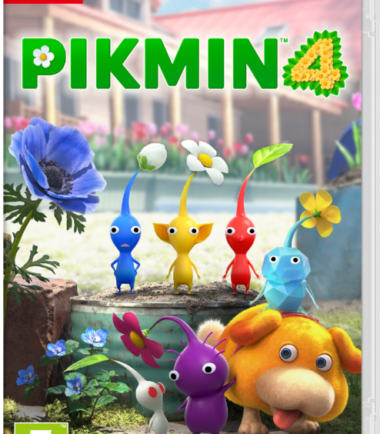Pikmin 4 Nintendo Switch (FR)