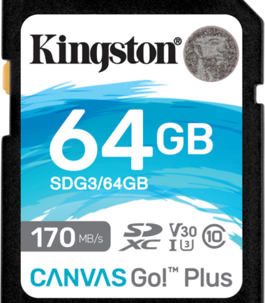 Kingston Canvas Go Plus 64GB