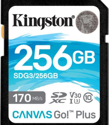 Kingston Canvas Go Plus 256GB SDXC