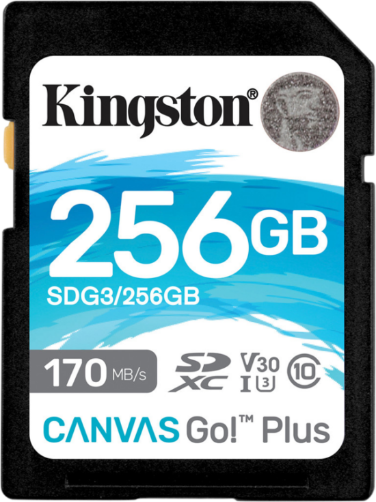 Kingston Canvas Go Plus 256GB SDXC