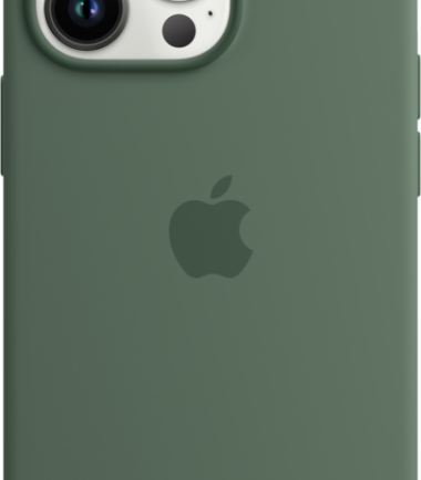 Apple iPhone 13 Pro Back Cover met MagSafe Eucalyptus
