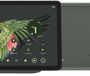 Google Pixel Tablet 256GB Wifi Grijs + Back Cover Grijs