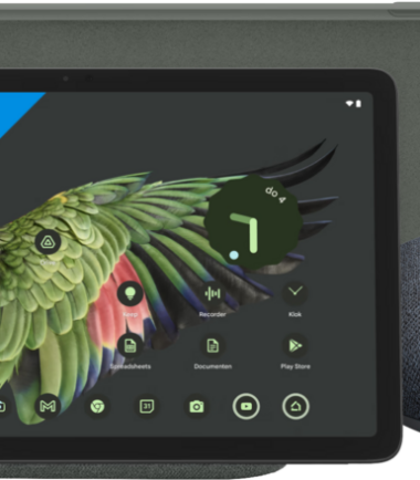 Google Pixel Tablet 256GB Wifi Grijs + Pixel Tablet Back Cover Grijs + Nest Mini Grijs