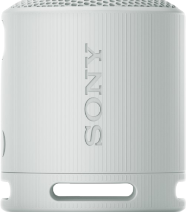 Sony SRS-XB100 Grijs