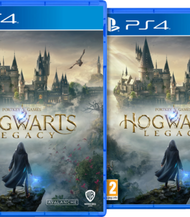 Hogwarts Legacy PS4 Duo pack