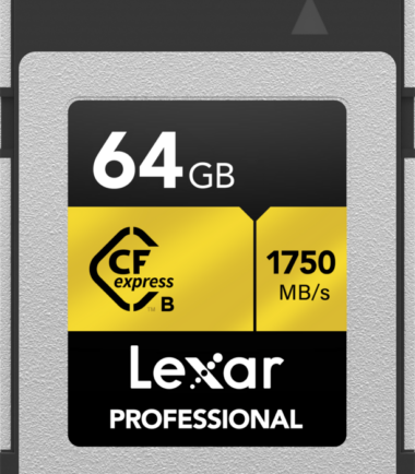 Lexar Professional 1800x GOLD 64GB SDXC - Duo-Pack