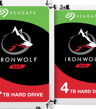 Seagate Ironwolf 4TB - Duo Pack