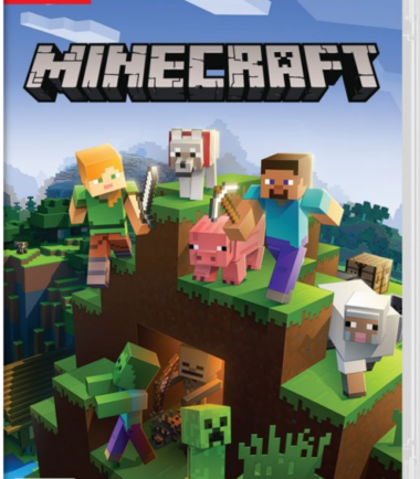 Minecraft Nintendo Switch