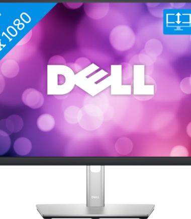 Dell P2422H