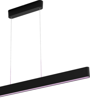 Philips Hue Ensis hanglamp White and Color Zwart + dimmer