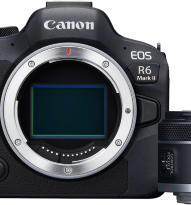 Canon EOS R6 Mark II + RF 50mm f/1.8 STM