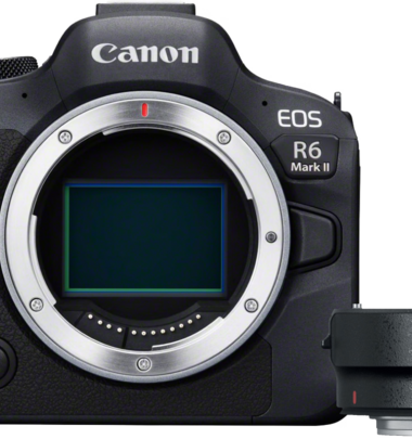 Canon EOS R6 Mark II + EF-EOS R Adapter