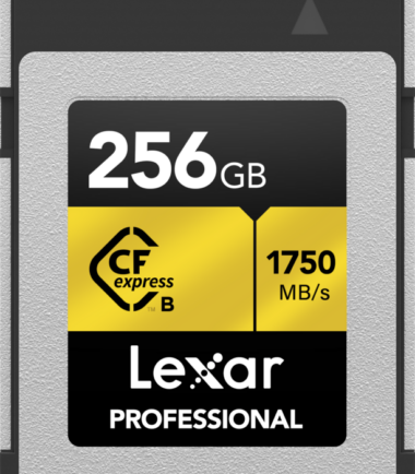 Lexar Professional GOLD 256GB CFexpress Type B