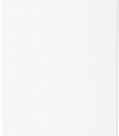 Liebherr FNe 4204-22 - Vrijstaande vrieskasten