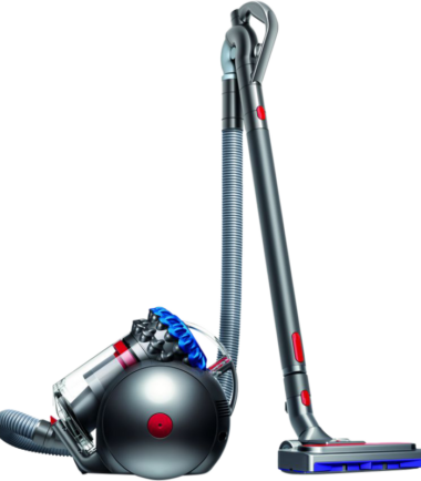 Dyson Big Ball Absolute 2