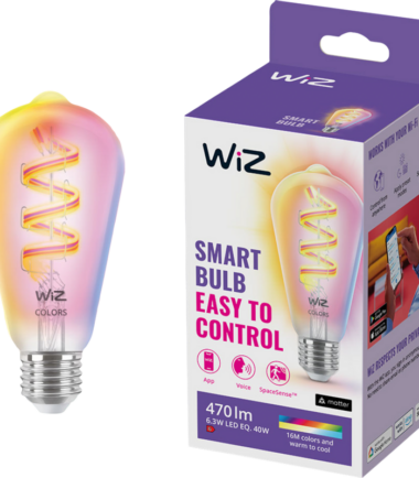 WiZ Edison Filament lamp- Gekleurd en wit licht - E27